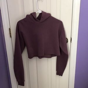 Urban Outfitters Cropped Hoodie